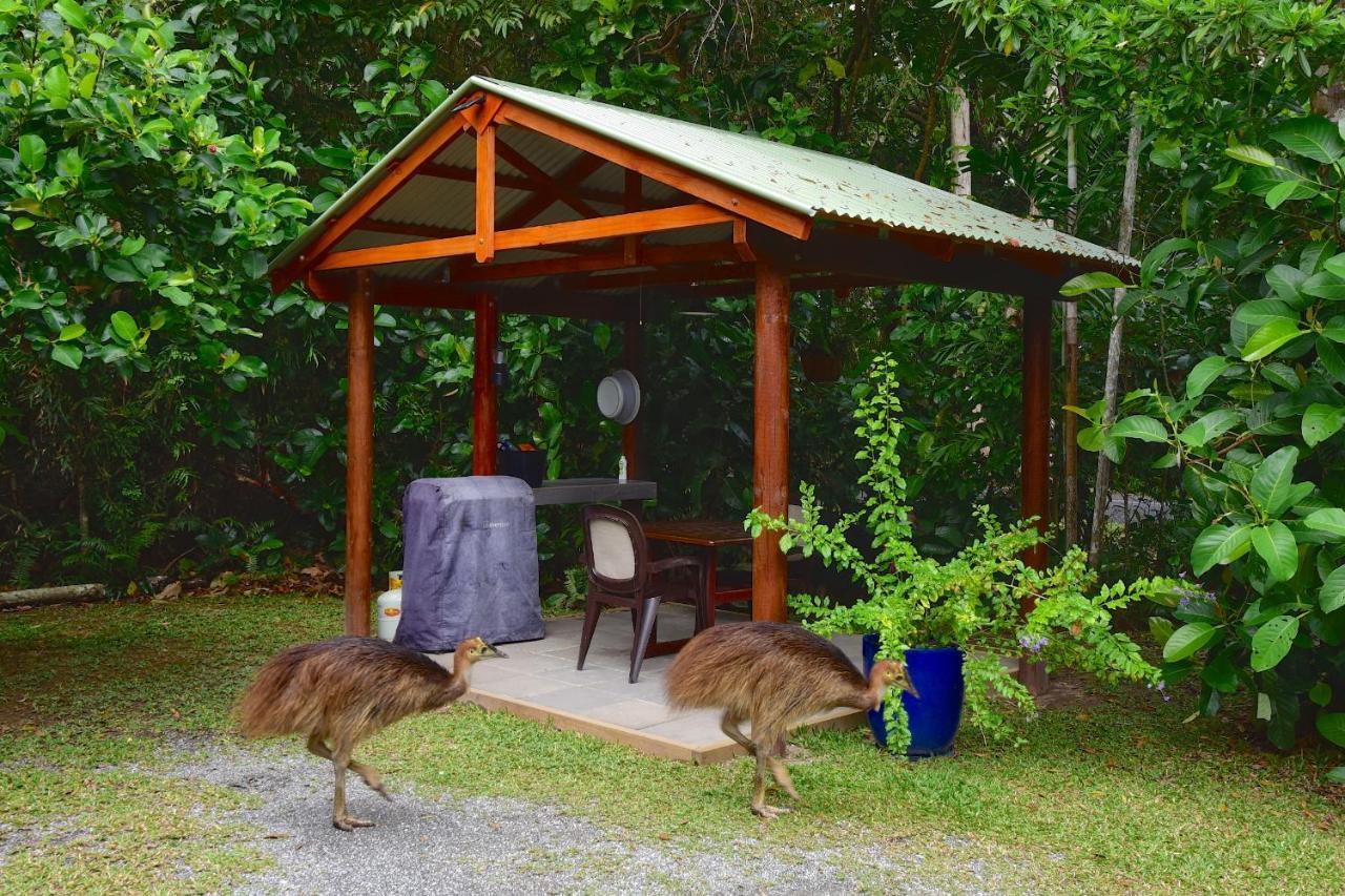 Thornton Beach Bungalows Daintree Cape Tribulation Kültér fotó