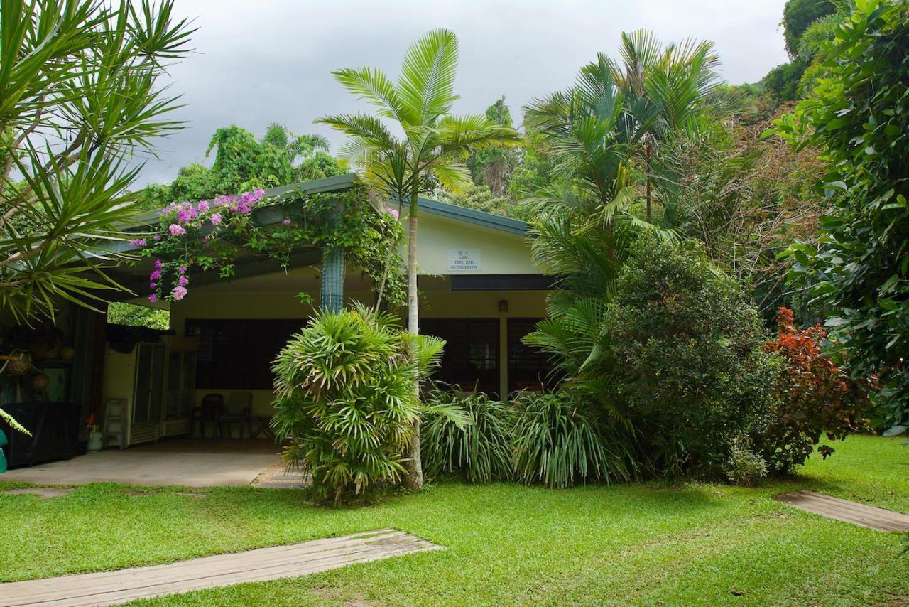 Thornton Beach Bungalows Daintree Cape Tribulation Kültér fotó