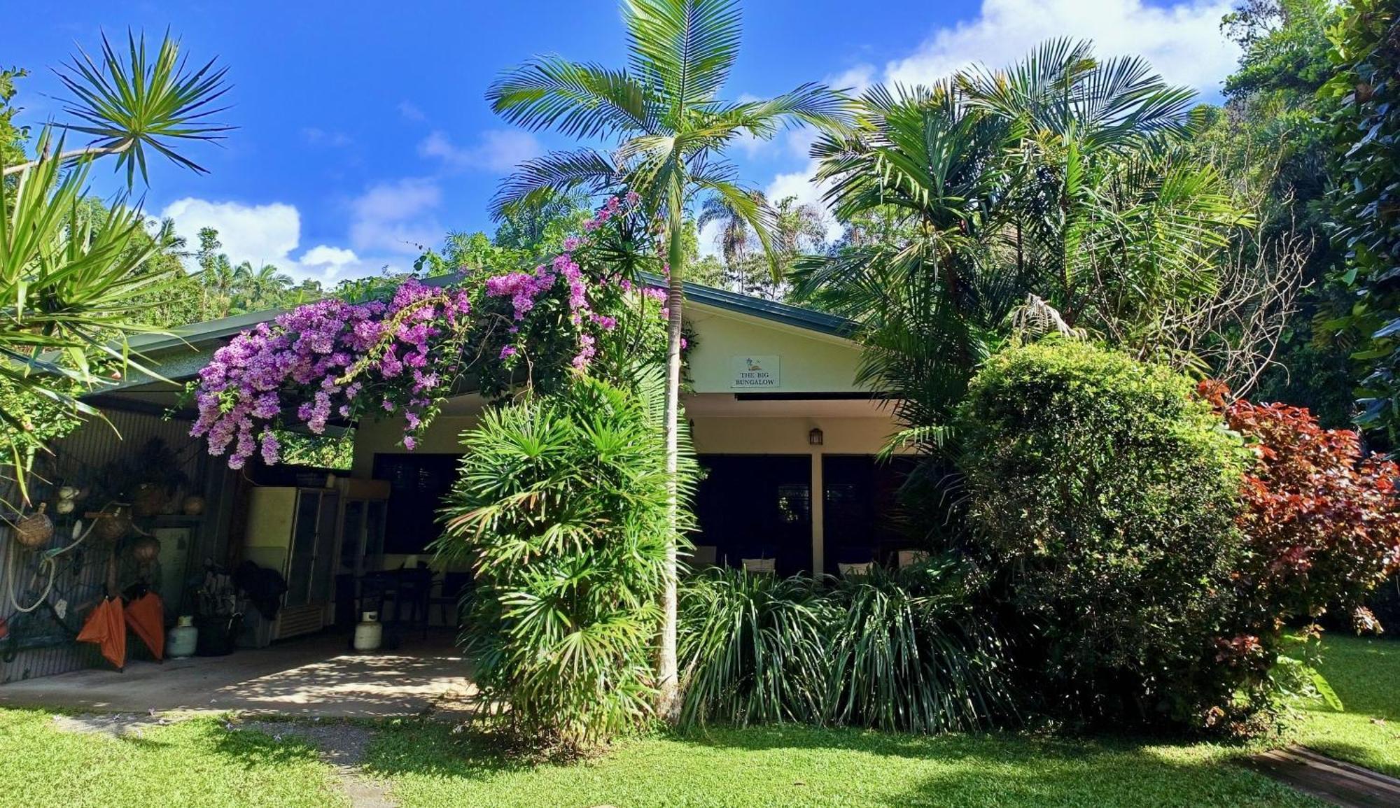 Thornton Beach Bungalows Daintree Cape Tribulation Kültér fotó
