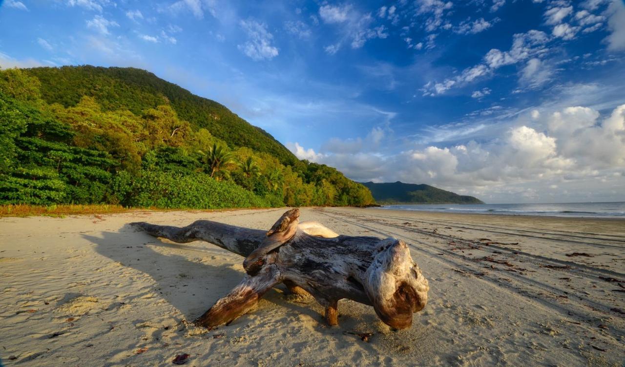 Thornton Beach Bungalows Daintree Cape Tribulation Kültér fotó