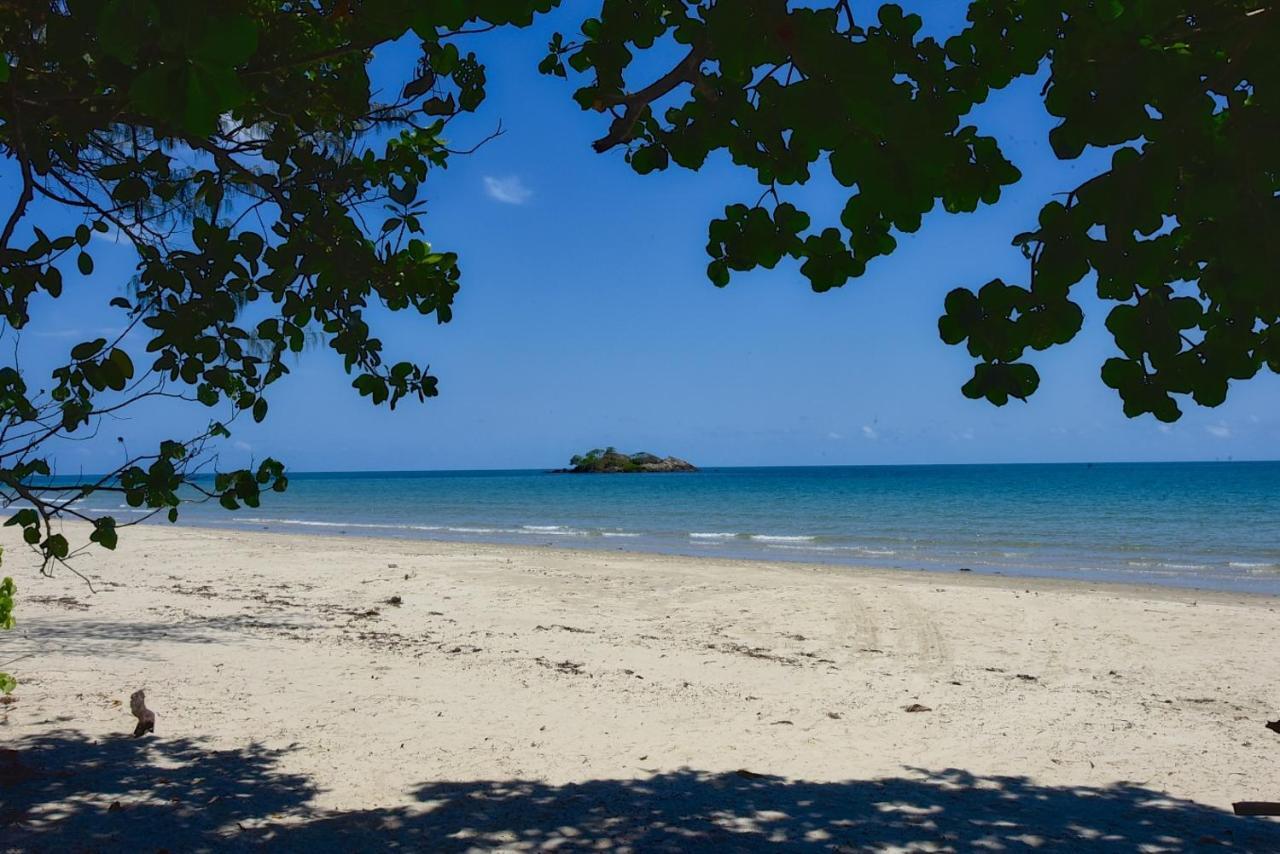 Thornton Beach Bungalows Daintree Cape Tribulation Kültér fotó